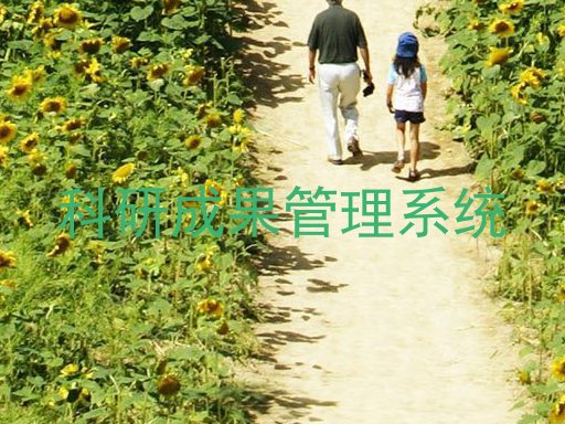 科研成果管理系统