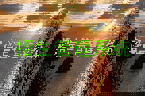 招生管理系统