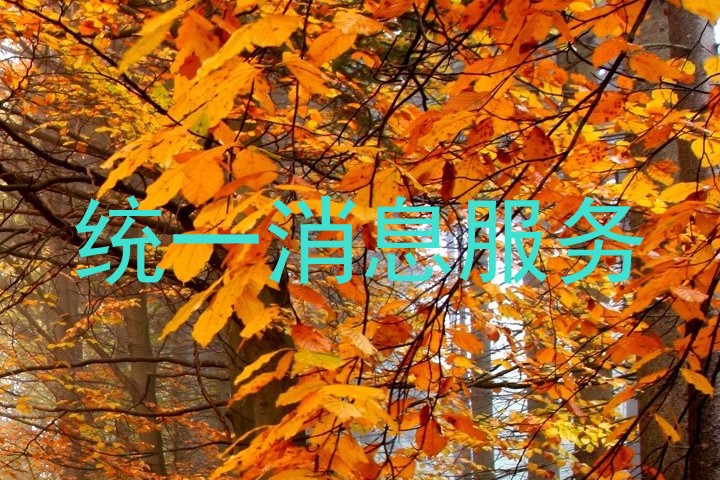 统一消息服务