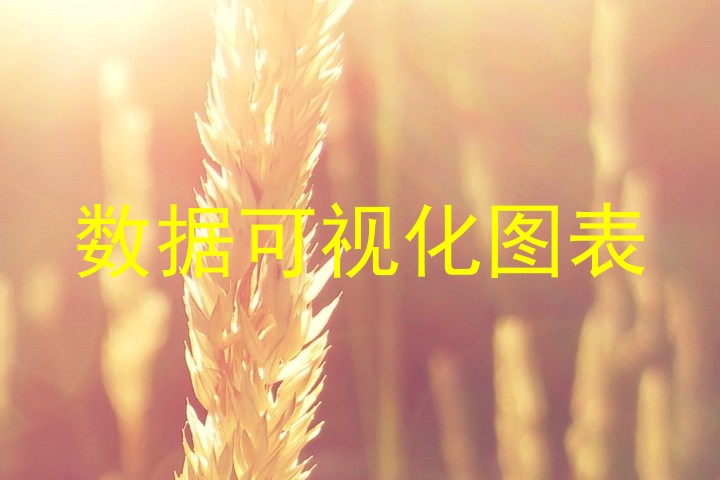 数据可视化图表