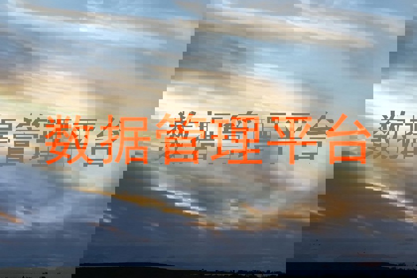 数据管理平台