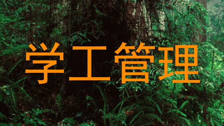 学工管理