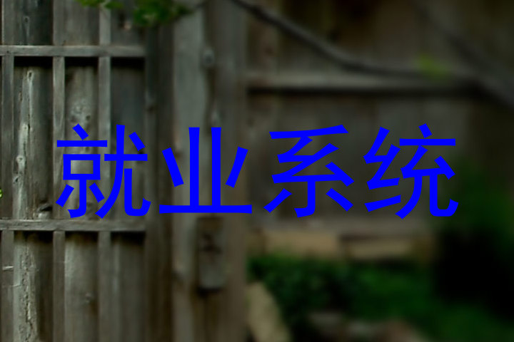 就业系统