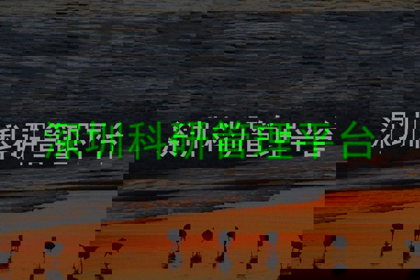 深圳科研管理平台