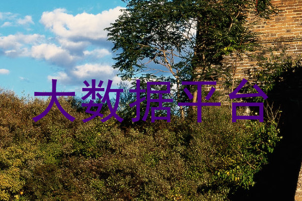 大数据平台