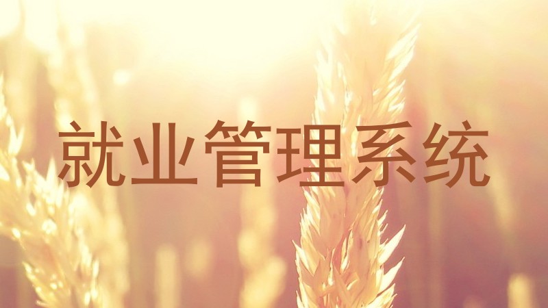 就业管理系统