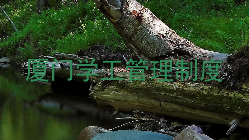 厦门学工管理制度