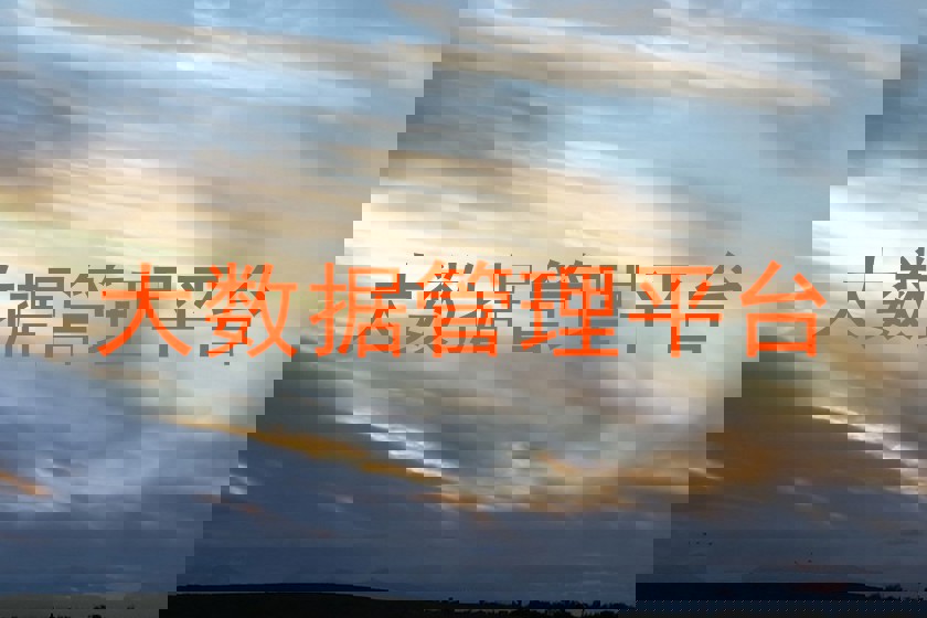 大数据管理平台