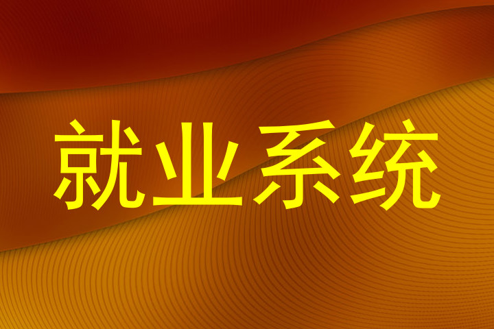 就业系统