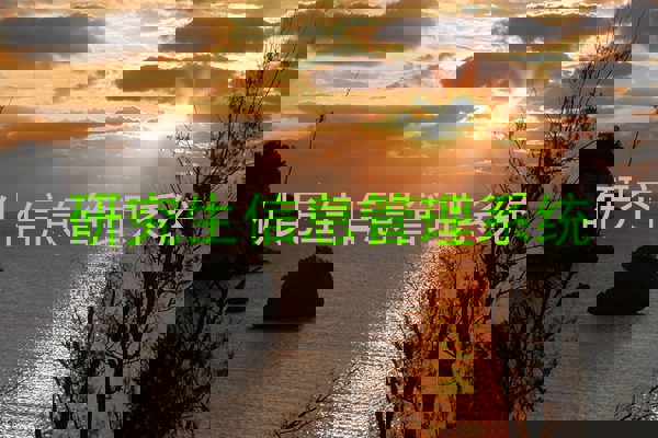 研究生信息管理系统
