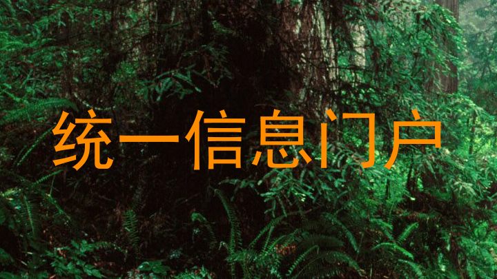统一信息门户