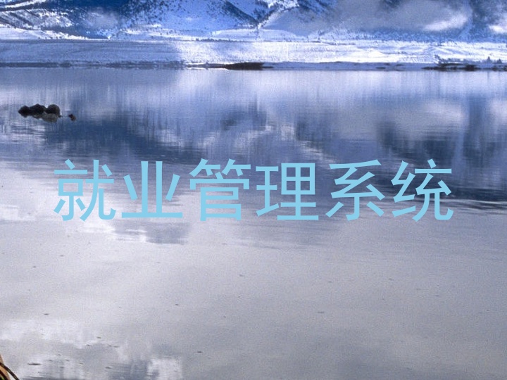 就业管理系统
