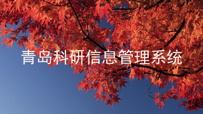 青岛科研信息管理系统