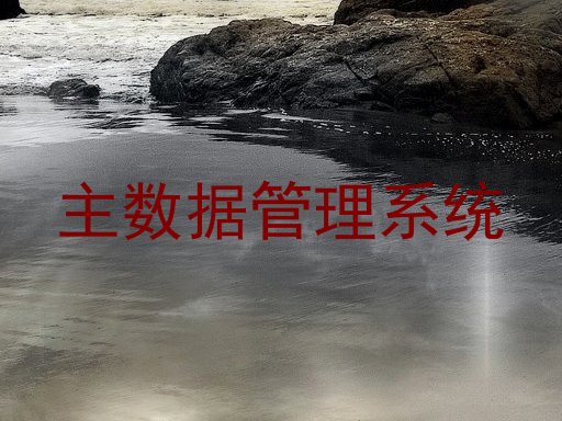 主数据管理系统