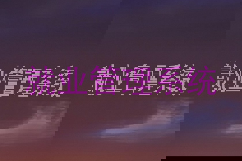 就业管理系统