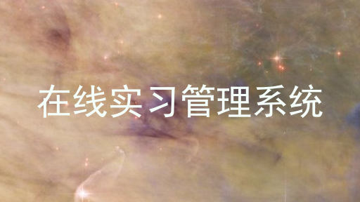 在线实习管理系统