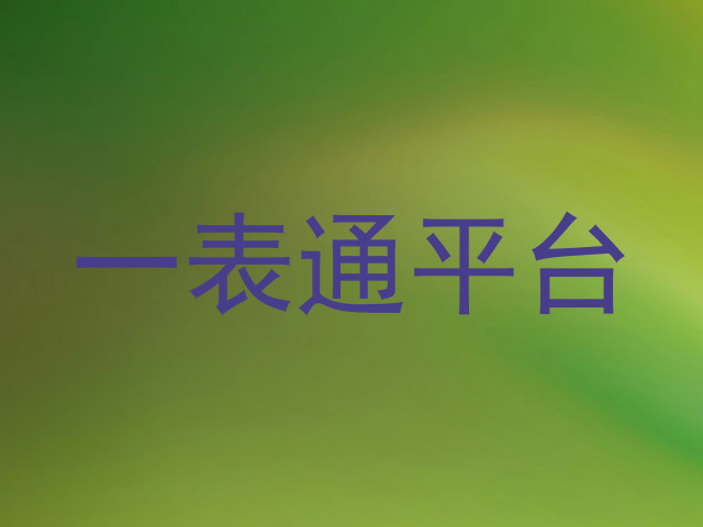 一表通平台