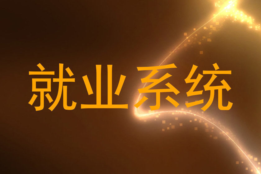就业系统