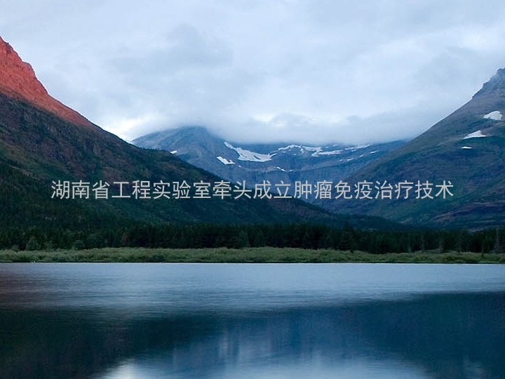 湖南省工程实验室牵头成立肿瘤免疫治疗技术