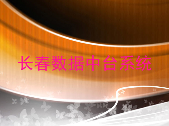 长春数据中台系统