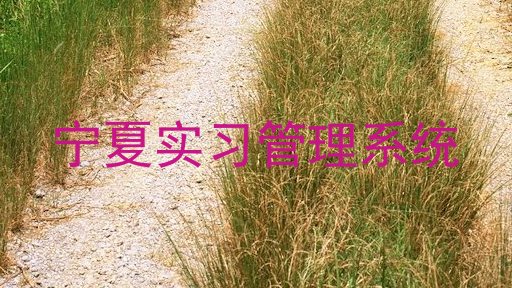 宁夏实习管理系统