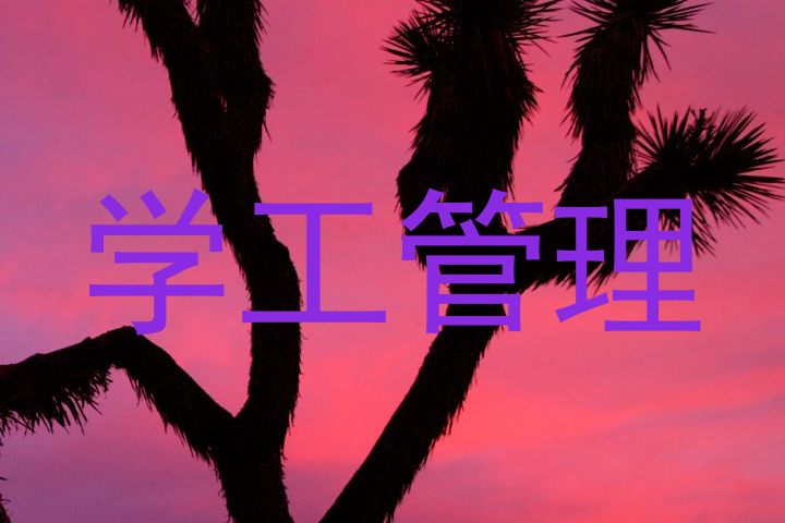 学工管理