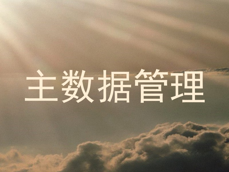 主数据管理