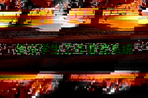 泰安学生工作管理系统