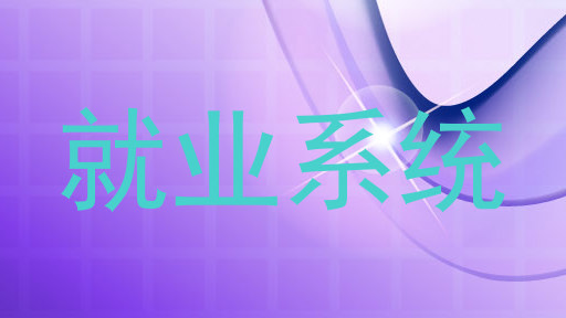 就业系统