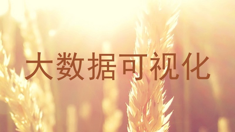 大数据可视化