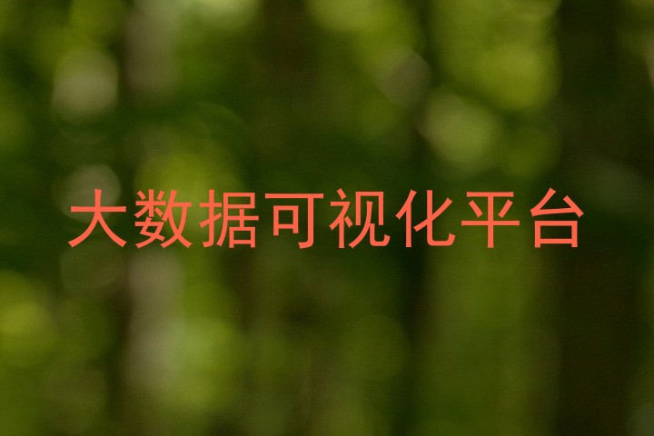 大数据可视化平台