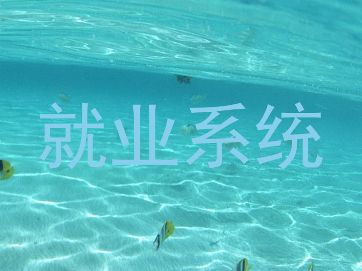 就业系统