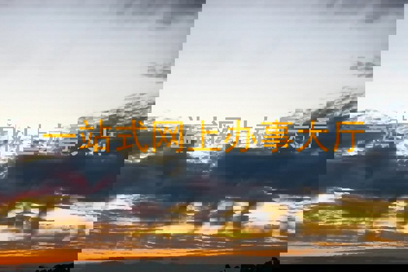 一站式网上办事大厅