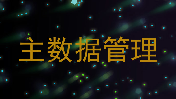 主数据管理