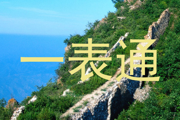 一表通