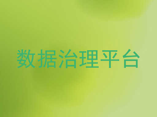 数据治理平台