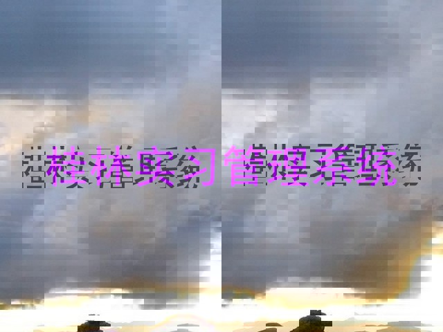 桂林实习管理系统
