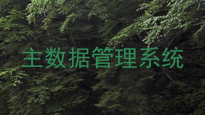 主数据管理系统