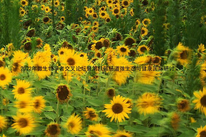 2022年微生物学者交叉论坛暨第八届肠道微生态与健康国际研讨