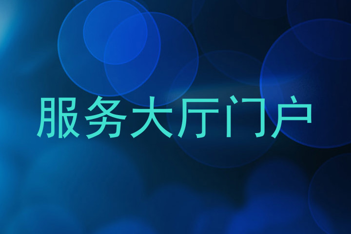 服务大厅门户