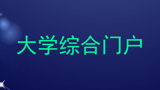 大学综合门户