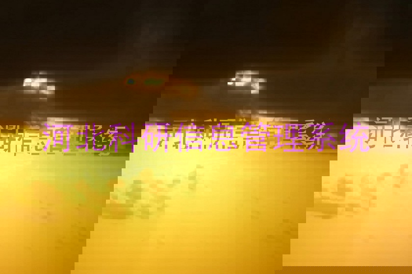 河北科研信息管理系统