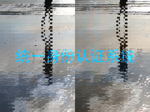 统一身份认证系统
