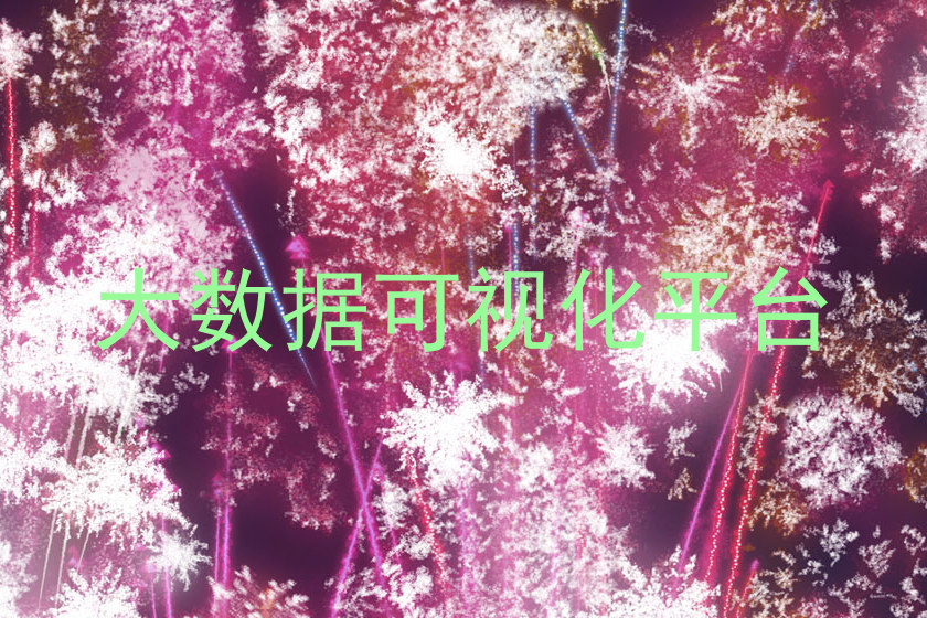 大数据可视化平台