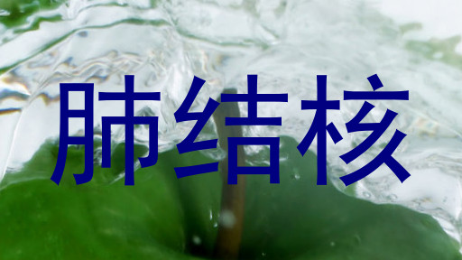 肺结核