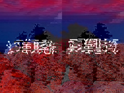 实习管理系统