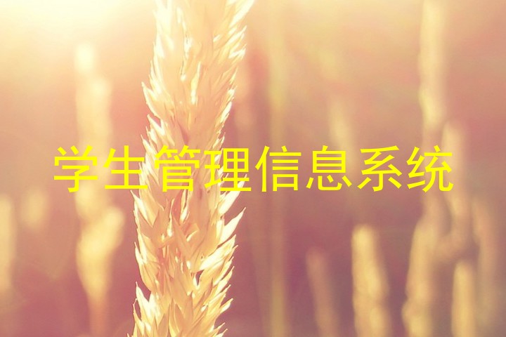 学生管理信息系统