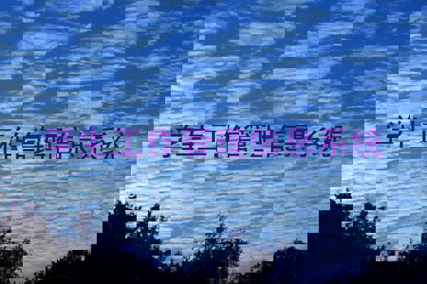 学生工作管理信息系统