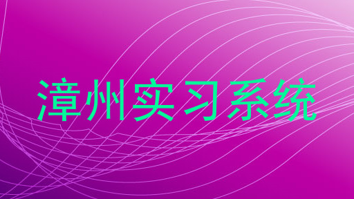 漳州实习系统