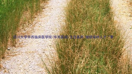 四川大学华西临床医学院(华西医院)主任医师:继续保持人才“零